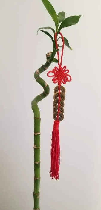Feng shui lucky charm for prosperity and abundance