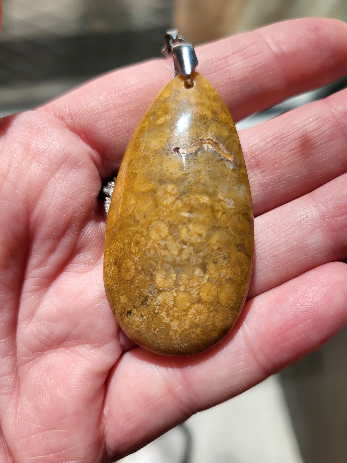 Chrysanthemum Coral Fossil Pendant Necklace