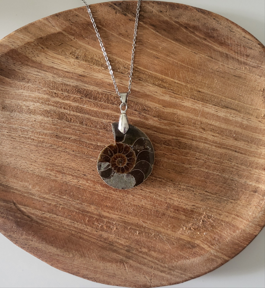 Collier avec pendentif en ammonite
