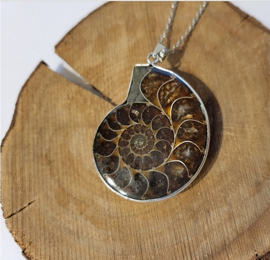 Collier avec pendentif en ammonite