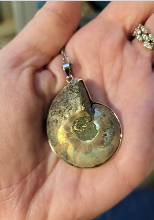 Collier avec pendentif en ammonite