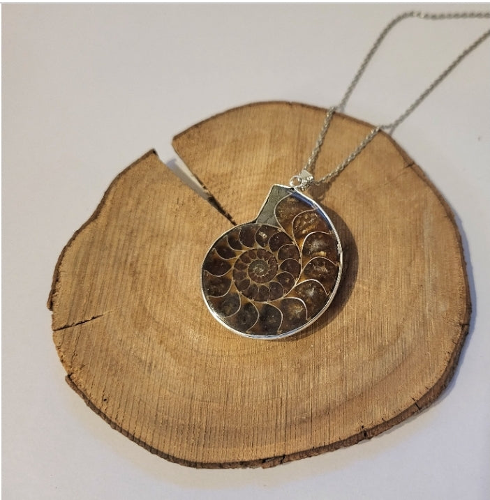 Collier avec pendentif en ammonite