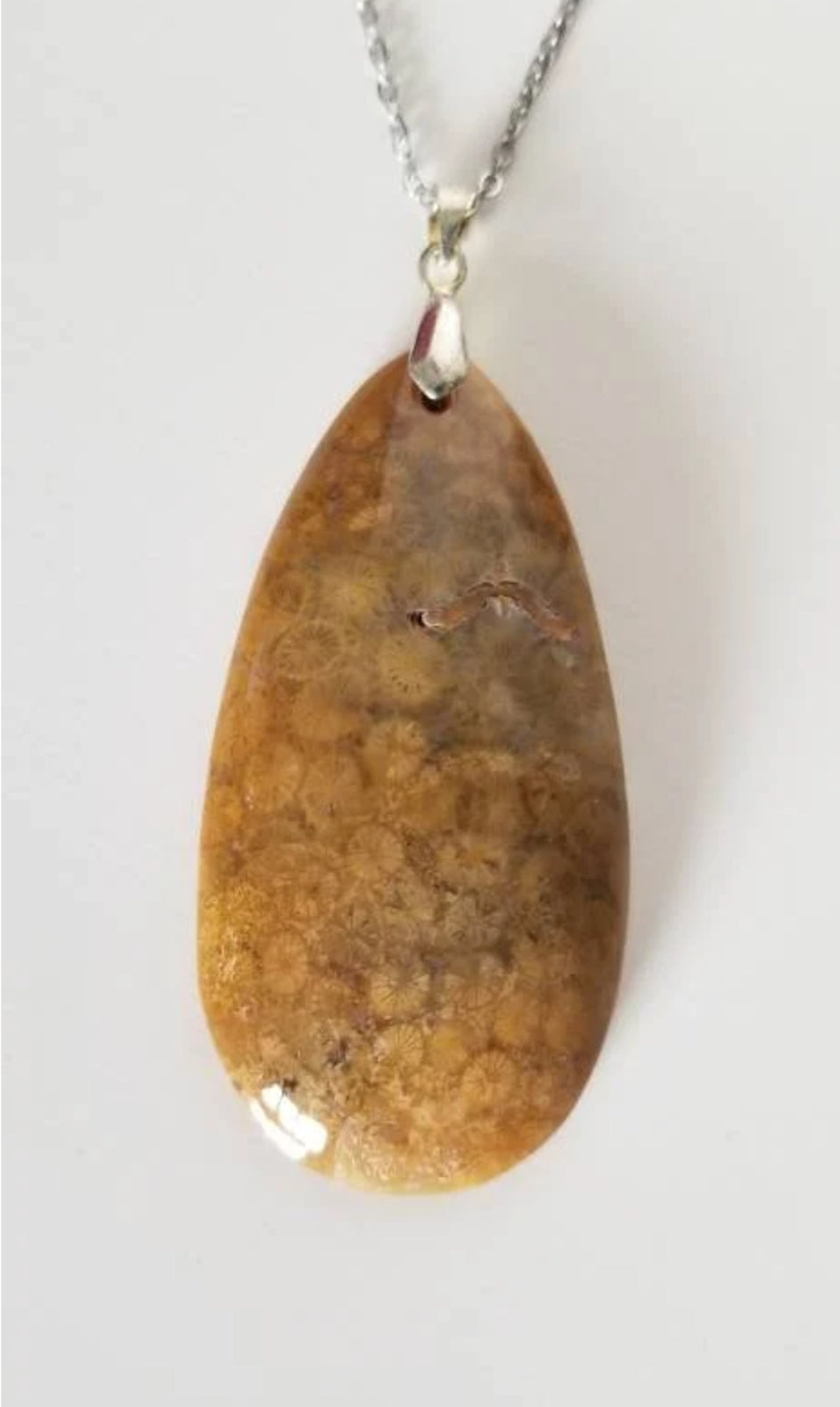 Chrysanthemum Coral Fossil Pendant Necklace