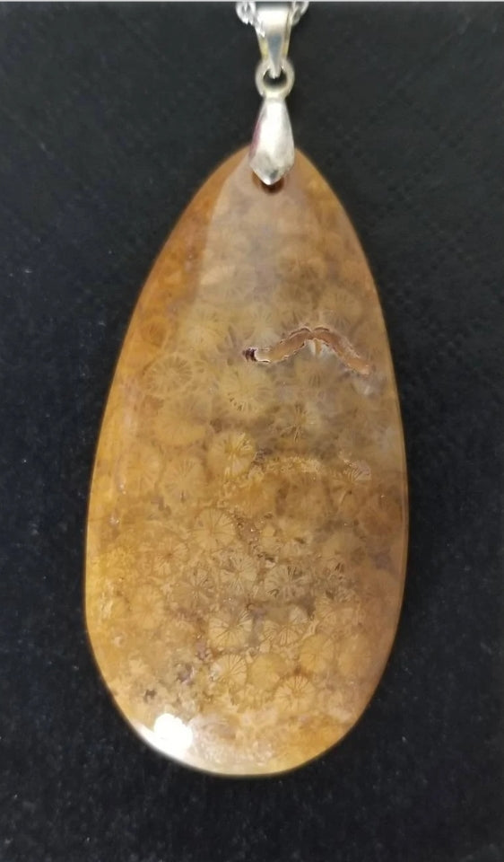 Chrysanthemum Coral Fossil Pendant Necklace